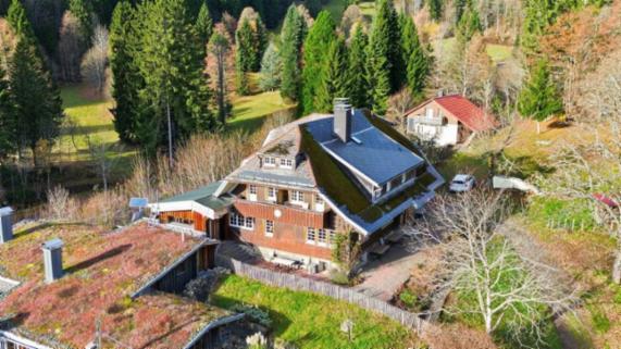 Angebot - Fotoansicht